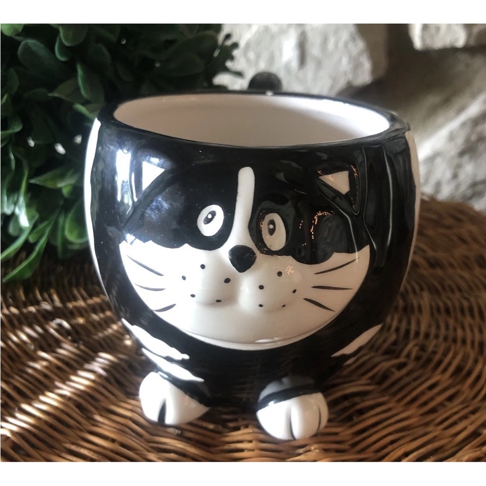 Pier 1 Imports CHUBBY CAT Coffee‎ Mug Tea Black White 3D Mother's Day Gift